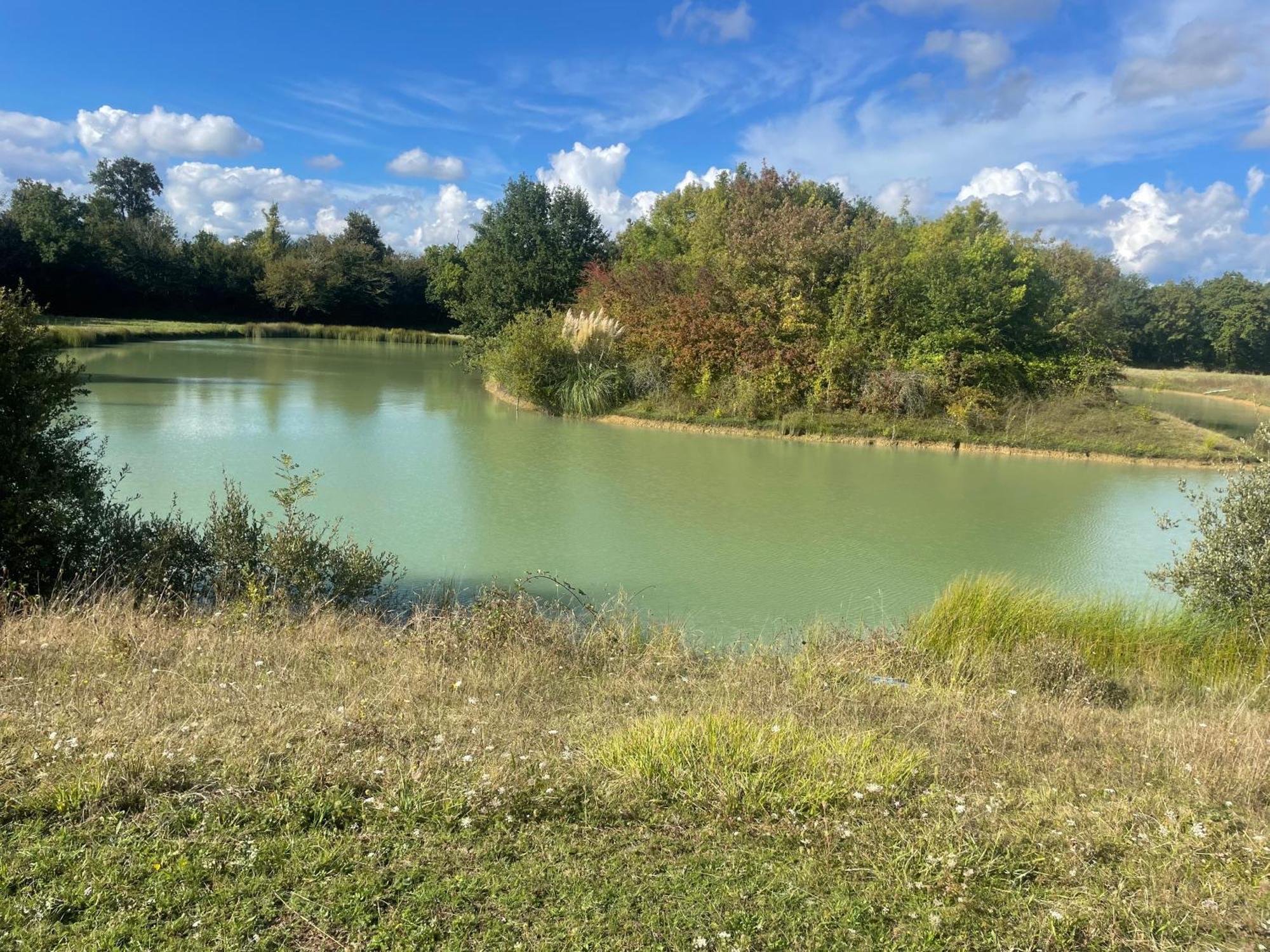 Fsp Chateau Julie Virsac Dış mekan fotoğraf